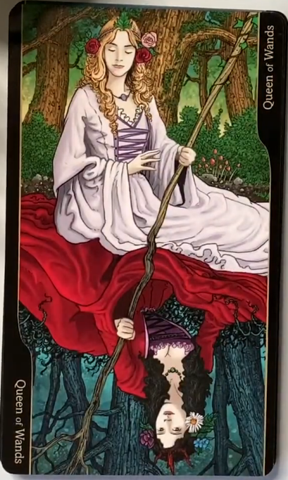 Tarot of Oppositions